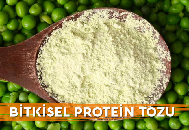 Bitkisel Protein Tozu Nedir ve Nasıl Kullanılır?